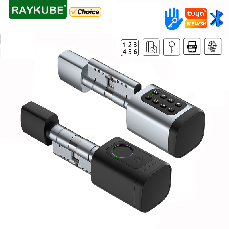 Unique Electronics Gadgets - RAYKUBE V1 Tuya BLE TT Serratura